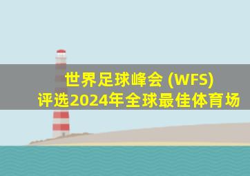 世界足球峰会 (WFS) 评选2024年全球最佳体育场